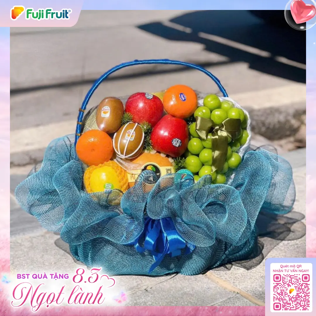 Giỏ quà biếu tặng A103